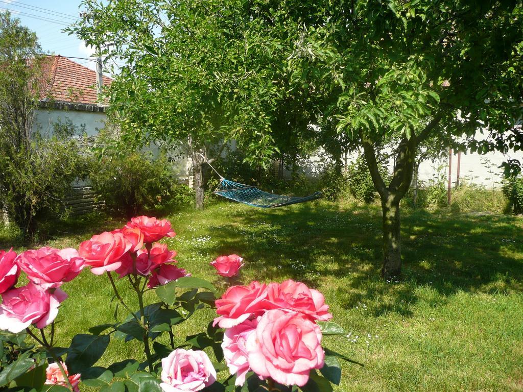 Guest House Tisza Haz Senta Eksteriør bilde